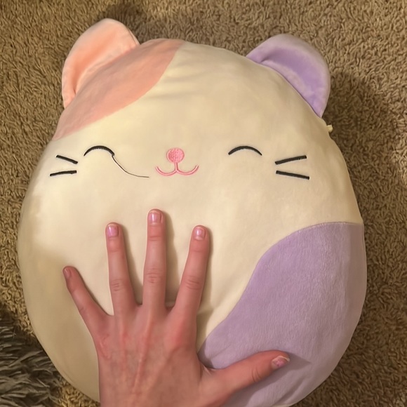 Medium sized cat squishmallow. Will cut off string on eye if bought. No flaws - Picture 3 of 3